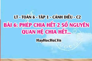 Phép chia hết hai số nguyên và quan hệ chia hết trong tập số nguyên? Toán 6 bài 6 cd1c2